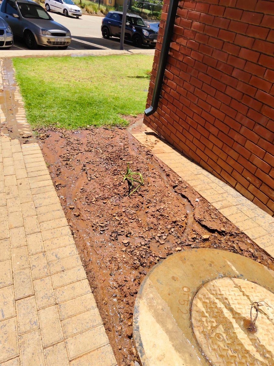 Drain Jetting Service